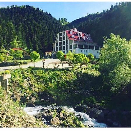 Hotel Green Valley Savsat Exterior foto