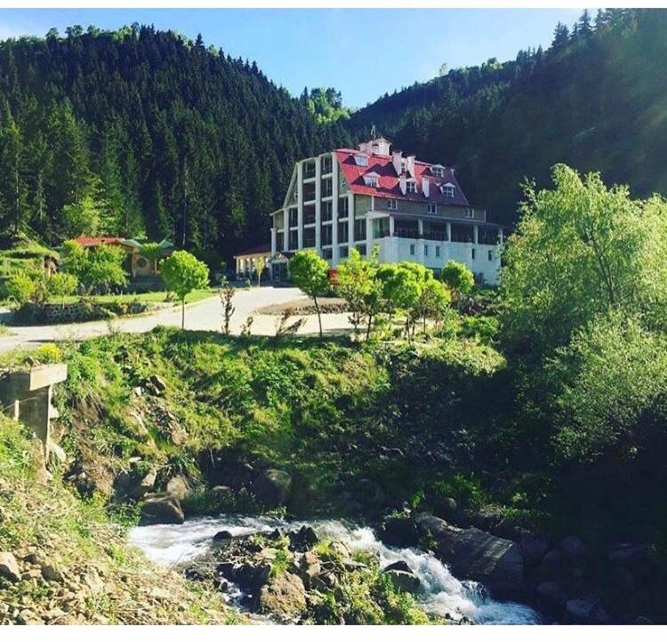 Hotel Green Valley Savsat Exterior foto